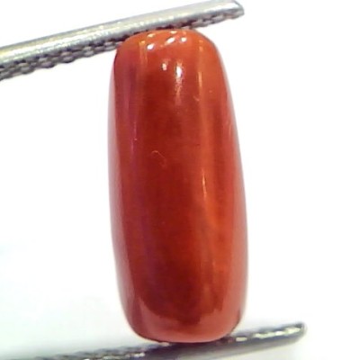 5.10 Ct 8.5 Ratti Natural Untreated Italian Red Coral Moonga Gems