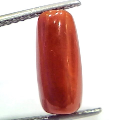 5.10 Ct 8.5 Ratti Natural Untreated Italian Red Coral Moonga Gems