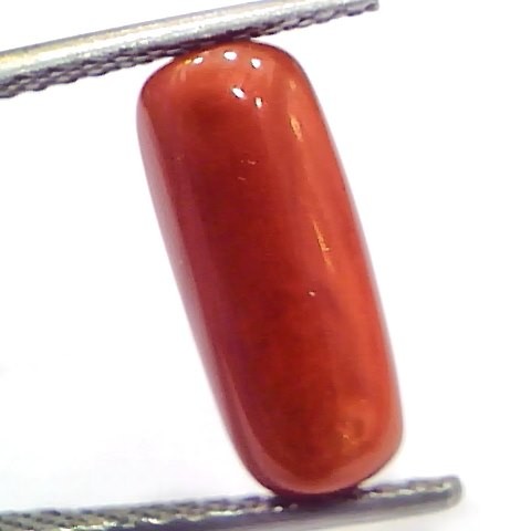 5.10 Ct 8.5 Ratti Natural Untreated Italian Red Coral Moonga Gems