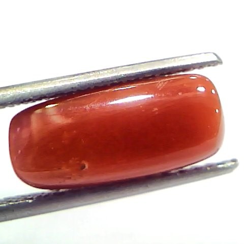 5.11 Ct 5.67 Ratti Natural Untreated Italian Red Coral Moonga Gems