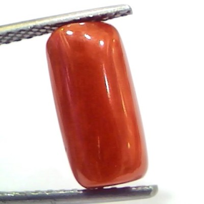 5.13 Ct 8.5 Ratti Natural Untreated Italian Red Coral Moonga Gems