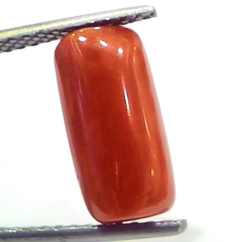 5.13 Ct 8.5 Ratti Natural Untreated Italian Red Coral Moonga Gems