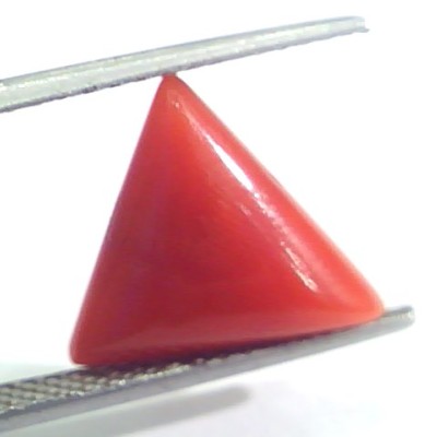 5.05 Ct 8.4 Ratti Natural Italian Triangle Red Coral Moonga Gemstone