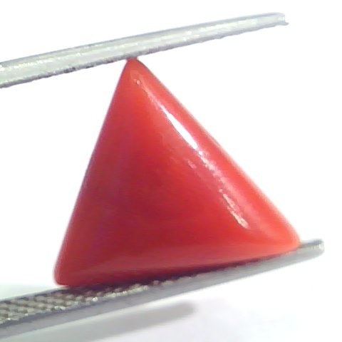 5.05 Ct 8.4 Ratti Natural Italian Triangle Red Coral Moonga Gemstone