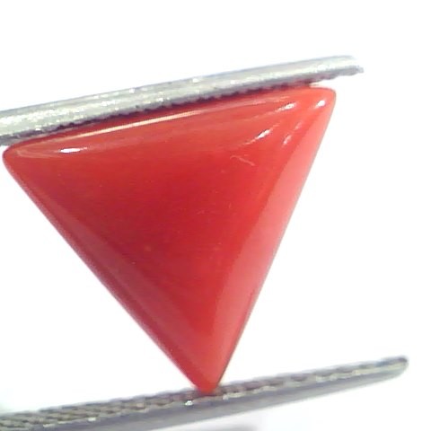 5.05 Ct 8.4 Ratti Natural Italian Triangle Red Coral Moonga Gemstone
