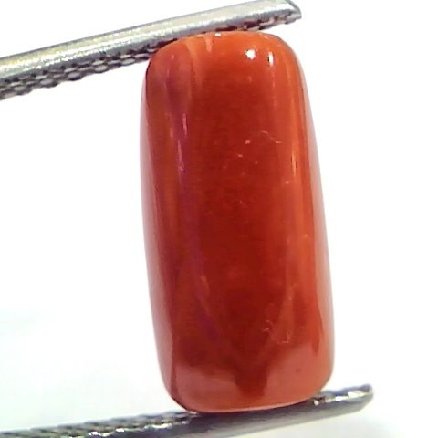 5.13 Ct 8.5 Ratti Natural Untreated Italian Red Coral Moonga Gems
