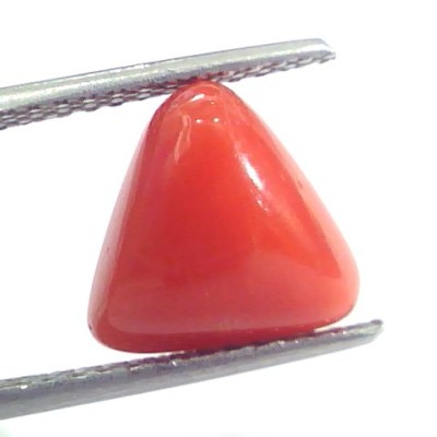 5.06 Ct 8.4 Ratti Natural Italian Triangle Red Coral Moonga Gemstone