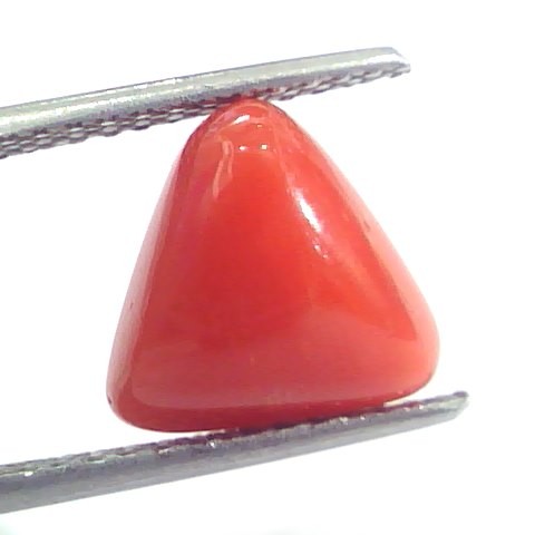 5.06 Ct 8.4 Ratti Natural Italian Triangle Red Coral Moonga Gemstone
