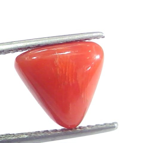 5.06 Ct 8.4 Ratti Natural Italian Triangle Red Coral Moonga Gemstone