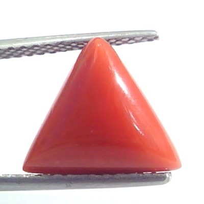 5.07 Ct 8.4 Ratti Natural Italian Triangle Red Coral Moonga Gemstone
