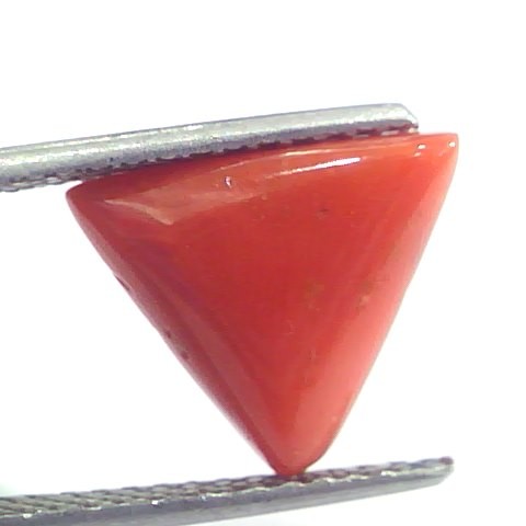 5.07 Ct 8.4 Ratti Natural Italian Triangle Red Coral Moonga Gemstone