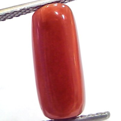 5.16 Ct 8.6 Ratti Natural Untreated Italian Red Coral Moonga Gems