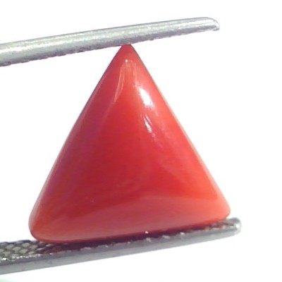 5.15 Ct 5.72 Ratti Natural Italian Triangle Red Coral Moonga Gemstone