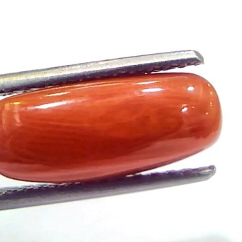 5.23 Ct 5.81 Ratti Natural Untreated Italian Red Coral Moonga Gems
