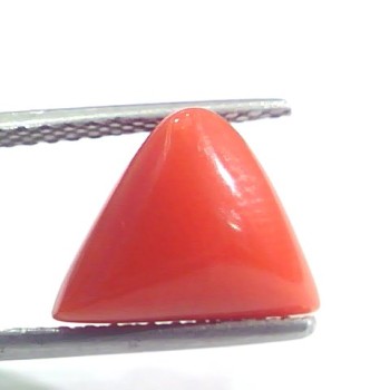 5.19 Ct 5.76 Ratti Natural Italian Triangle Red Coral Moonga Gemstone