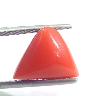 5.19 Ct 5.76 Ratti Natural Italian Triangle Red Coral Moonga Gemstone