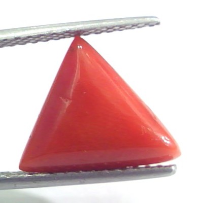 5.20 Ct 5.77 Ratti Natural Italian Triangle Red Coral Moonga Gemstone