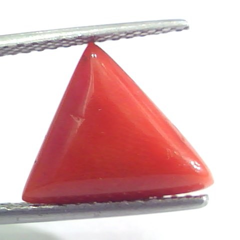 5.20 Ct 5.77 Ratti Natural Italian Triangle Red Coral Moonga Gemstone