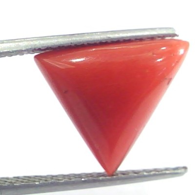 5.20 Ct 5.77 Ratti Natural Italian Triangle Red Coral Moonga Gemstone