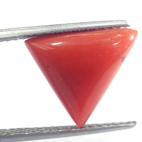 5.20 Ct 5.77 Ratti Natural Italian Triangle Red Coral Moonga Gemstone