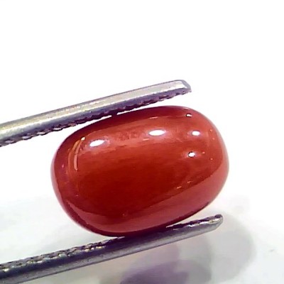 5.14 Ct 5.71 Ratti Natural Italian Red Coral Moonga Gemstone