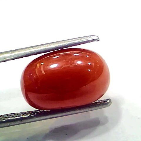 5.22 Ct 5.8 Ratti Natural Italian Red Coral Moonga Gemstone
