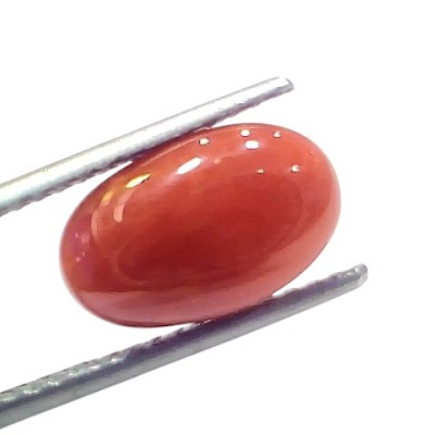 5.29 Ct 5.84 Ratti Natural Untreated Italian Red Coral Moonga AAAAA 5.29 Ct 5.84 Ratti Natural Untreated Italian Red Coral Moonga AAAAA