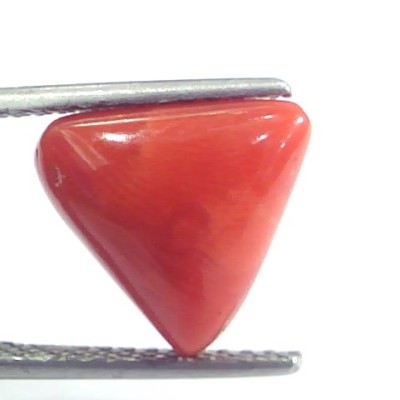 5.35 Ct 8.9 Ratti Natural Italian Triangle Red Coral Moonga Gemstone