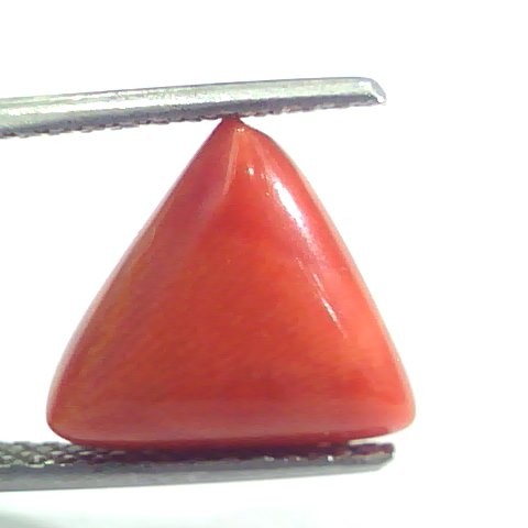 5.35 Ct 8.9 Ratti Natural Italian Triangle Red Coral Moonga Gemstone