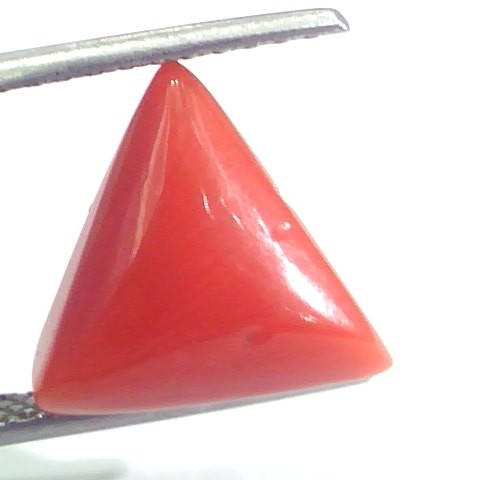 5.37 Ct 5.96 Ratti Natural Italian Triangle Red Coral Moonga Gemstone
