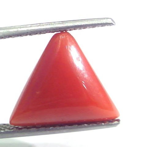 5.37 Ct 5.96 Ratti Natural Italian Triangle Red Coral Moonga Gemstone
