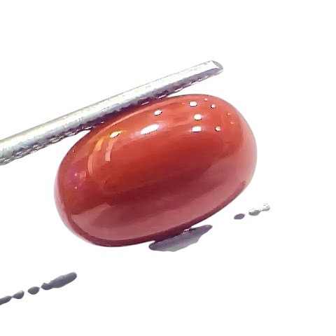 5.43 Ct 5.98 Ratti Natural Untreated Italian Red Coral Moonga AAAAA 5.43 Ct 5.98 Ratti Natural Untreated Italian Red Coral Moonga AAAAA
