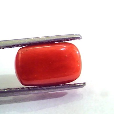5.44 Carat Natural Italian Red Coral Moonga Gemstone AAAA