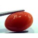 5.42 Ct Top Grade Premium Untreated Natural Japan Red Coral Gemstone