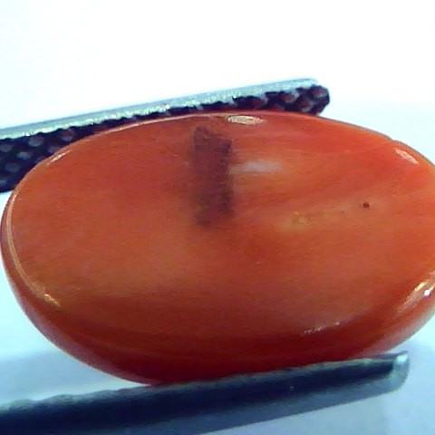 5.42 Ct Top Grade Premium Untreated Natural Japan Red Coral Gemstone