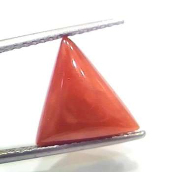5.52 Ct 6.13 Ratti Natural Italian Triangle Red Coral Moonga Gemstone