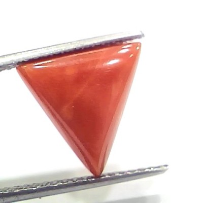 5.52 Ct 6.13 Ratti Natural Italian Triangle Red Coral Moonga Gemstone