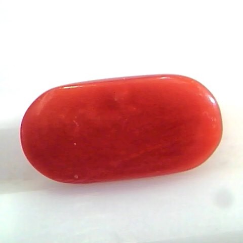 5.61 Ct Untreated Natural Premium Italian Red Coral AAAAA