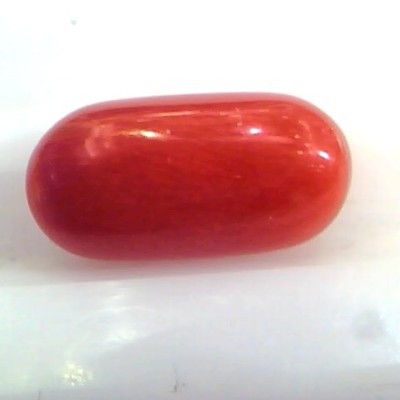 5.61 Ct Untreated Natural Premium Italian Red Coral AAAAA