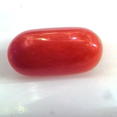 5.61 Ct Untreated Natural Premium Italian Red Coral AAAAA