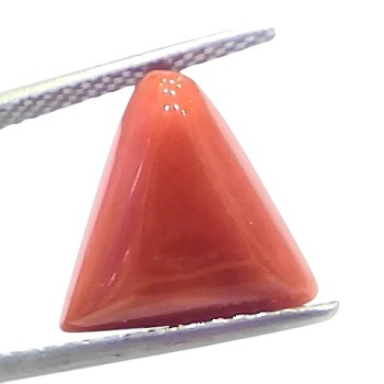 5.66 Ct Natural Italian Triangle Red Coral Trikon Moonga Gemstone 5.66 Ct Natural Italian Triangle Red Coral Trikon Moonga Gemstone