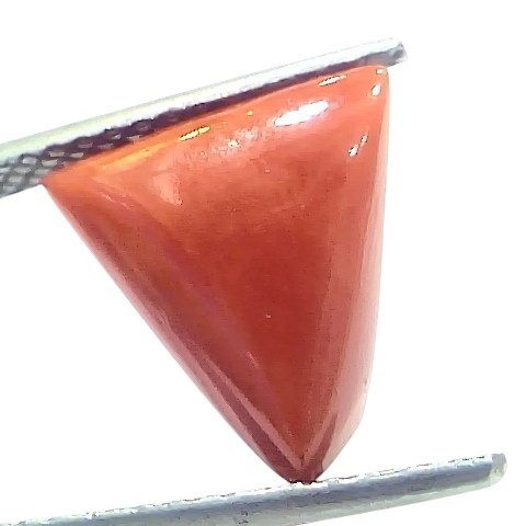 5.66 Ct Natural Italian Triangle Red Coral Trikon Moonga Gemstone 5.66 Ct Natural Italian Triangle Red Coral Trikon Moonga Gemstone