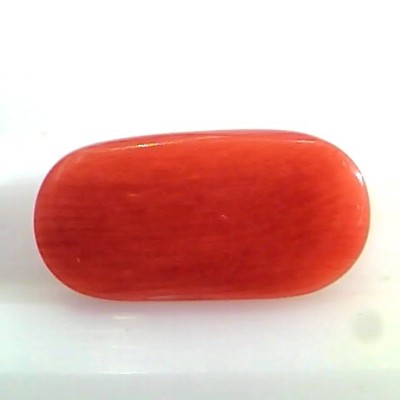 5.66 Ct Untreated Natural Premium Italian Red Coral AAAAA