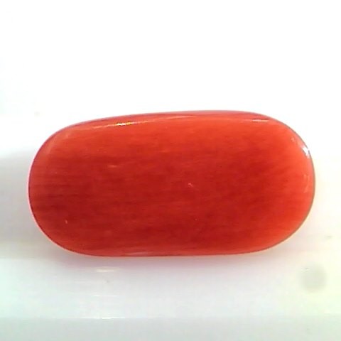 5.66 Ct Untreated Natural Premium Italian Red Coral AAAAA
