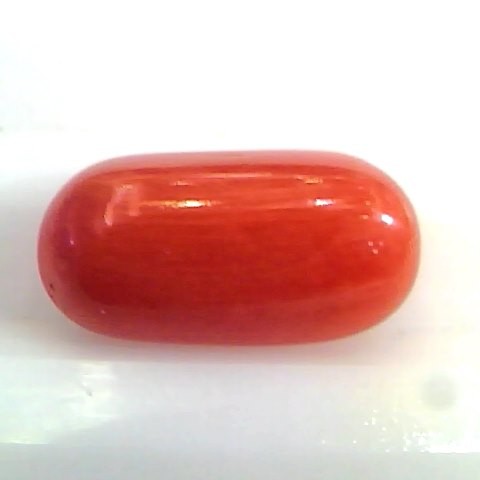 5.66 Ct Untreated Natural Premium Italian Red Coral AAAAA
