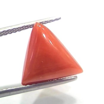 5.73 Ct 6.36 Ratti Natural Italian Triangle Red Coral Moonga Gemstone