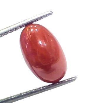 5.68 Ct 6.27 Ratti Natural Untreated Italian Red Coral Moonga AAAAA 5.68 Ct 6.27 Ratti Natural Untreated Italian Red Coral Moonga AAAAA