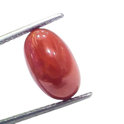 5.68 Ct 6.27 Ratti Natural Untreated Italian Red Coral Moonga AAAAA