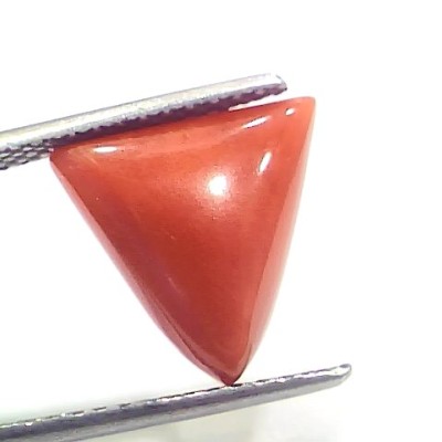 5.73 Ct 6.36 Ratti Natural Italian Triangle Red Coral Moonga Gemstone