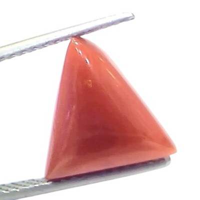 5.70 Ct Natural Italian Triangle Red Coral Trikon Moonga Gemstone 5.70 Ct Natural Italian Triangle Red Coral Trikon Moonga Gemstone